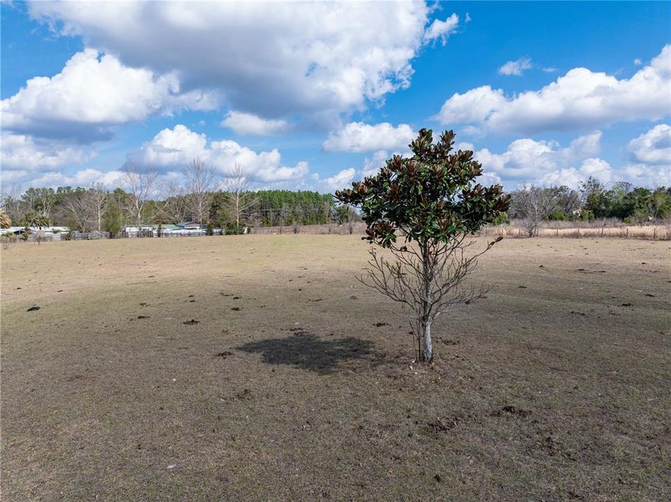 For Sale: $160,000 (6.04 acres)