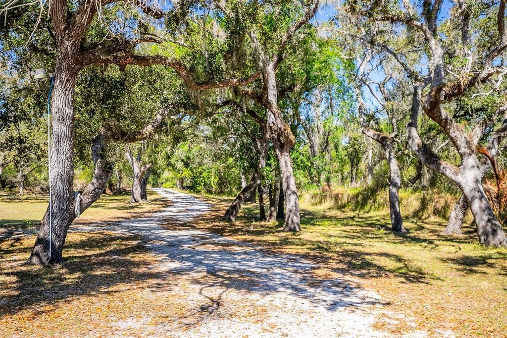 Active With Contract: $825,000 (6 beds, 4 baths, 3777 Square Feet)