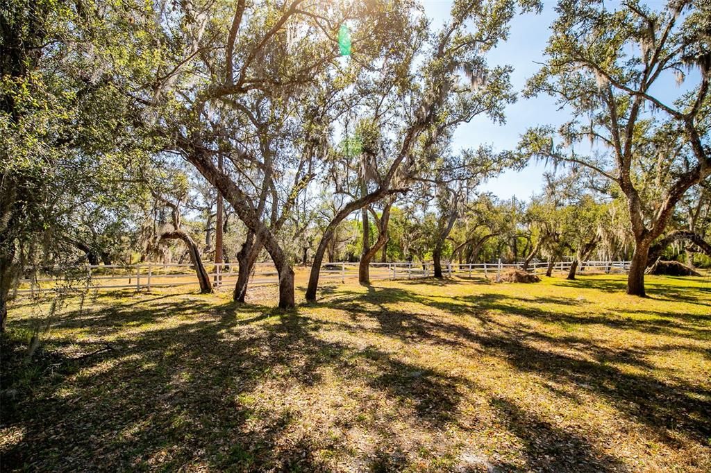 Active With Contract: $825,000 (6 beds, 4 baths, 3777 Square Feet)