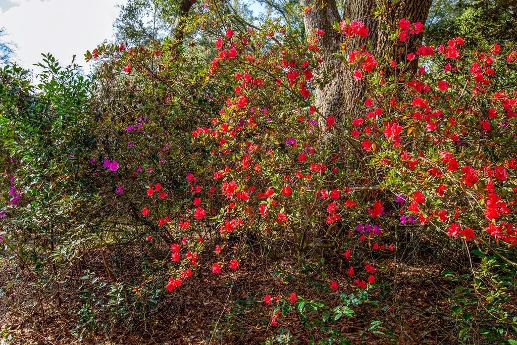 На продажу: $300,000 (2 спален, 3 ванн, 1560 Квадратных фут)