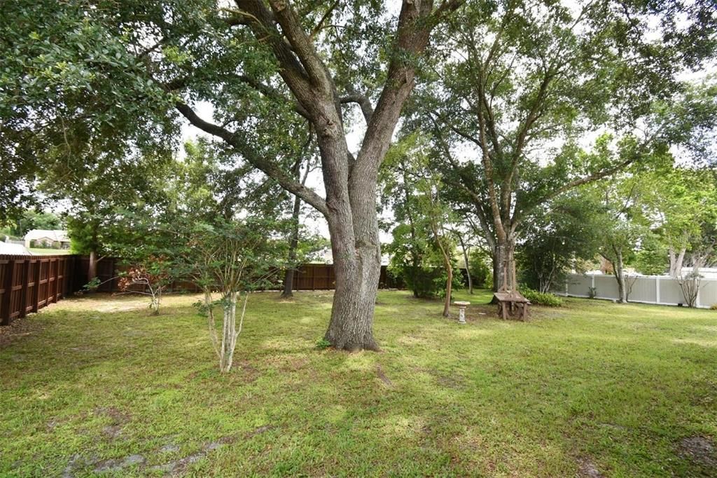 Activo con contrato: $435,000 (3 camas, 2 baños, 2364 Pies cuadrados)