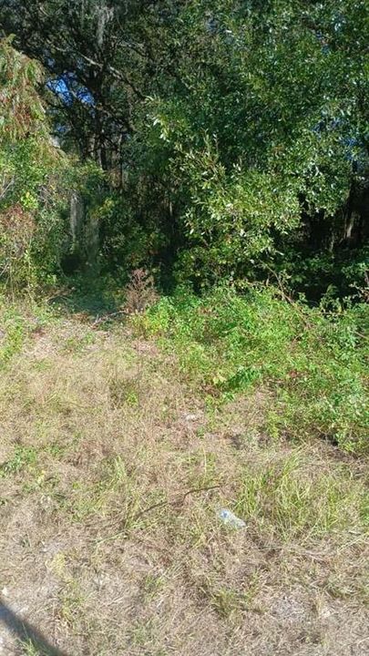 En Venta: $16,000 (0.53 acres)