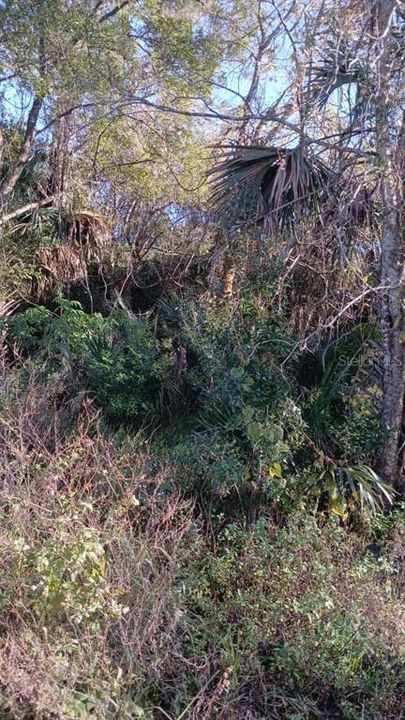 En Venta: $16,000 (0.53 acres)