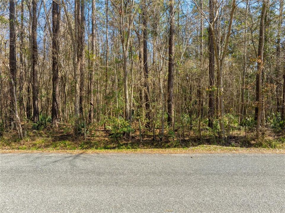 For Sale: $149,900 (27.82 acres)