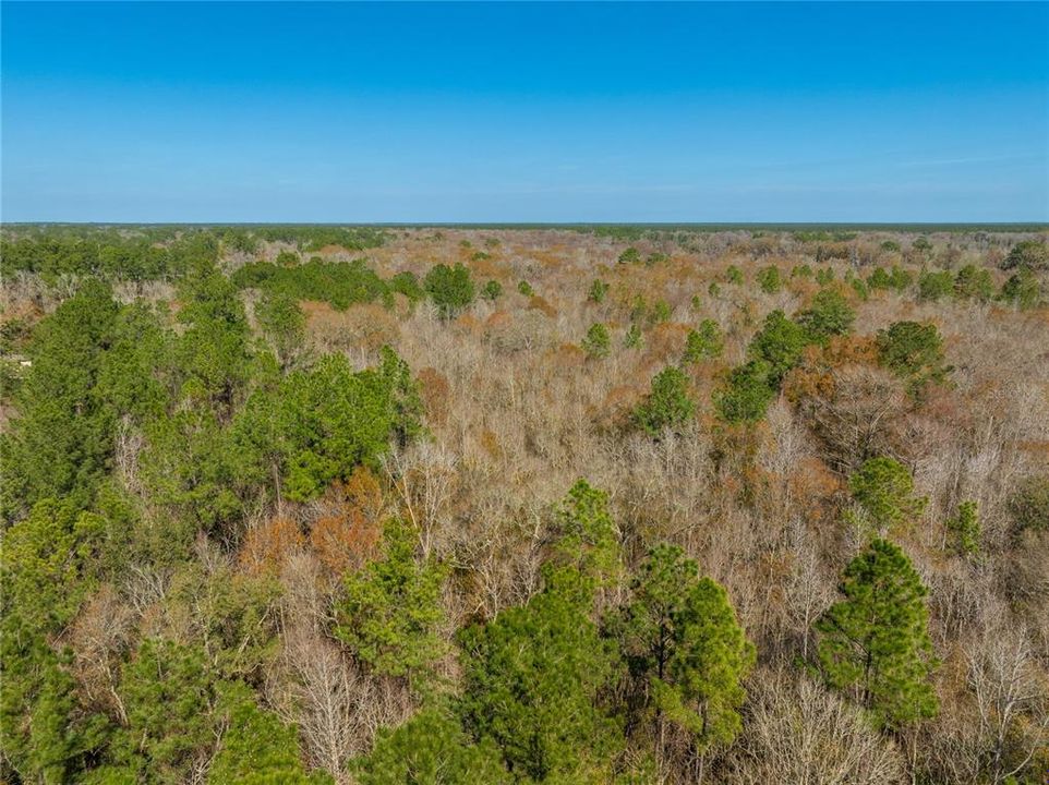 For Sale: $149,900 (27.82 acres)