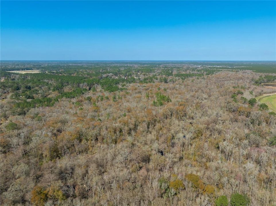 For Sale: $149,900 (27.82 acres)