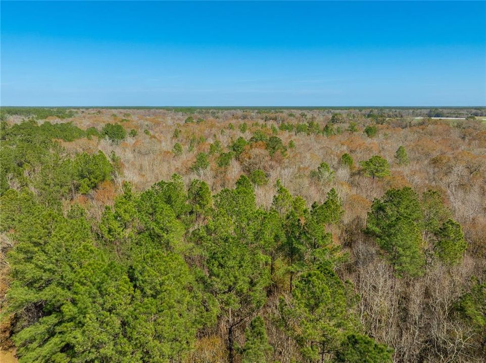 For Sale: $149,900 (27.82 acres)