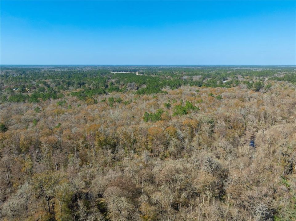 For Sale: $149,900 (27.82 acres)