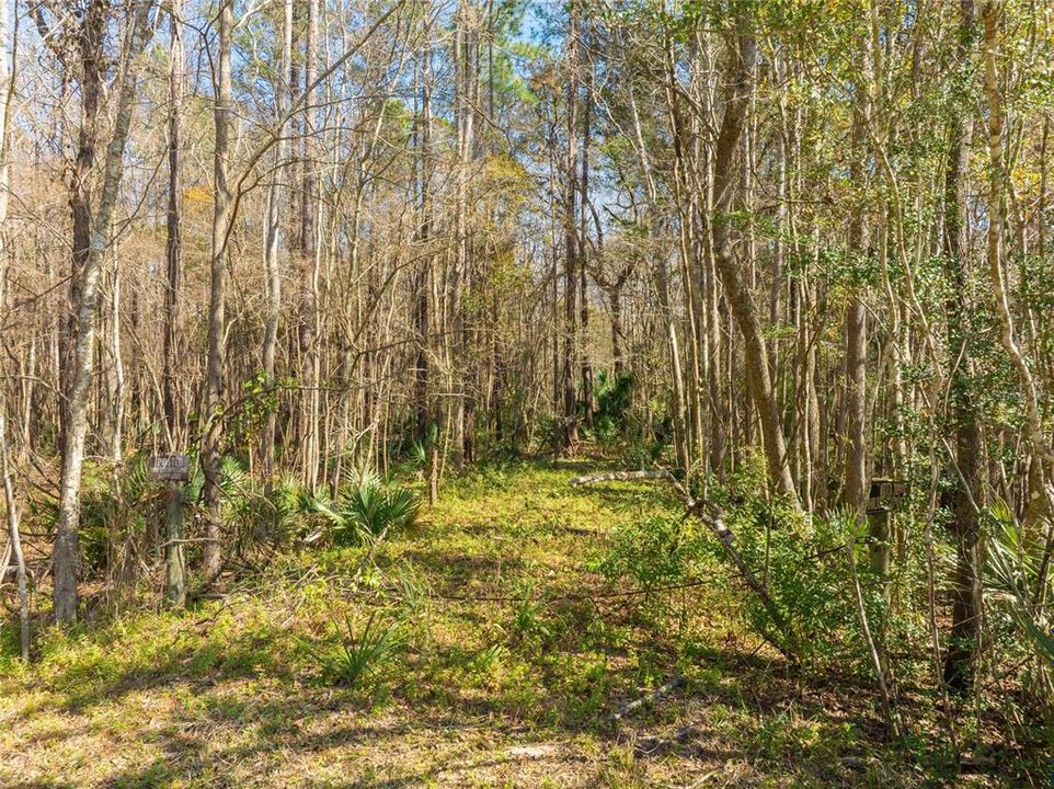 For Sale: $149,900 (27.82 acres)