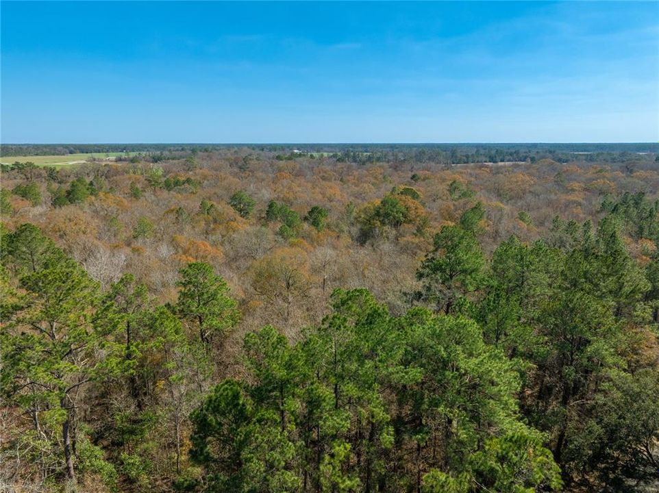 For Sale: $149,900 (27.82 acres)