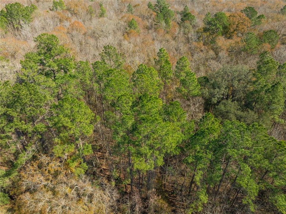 For Sale: $149,900 (27.82 acres)