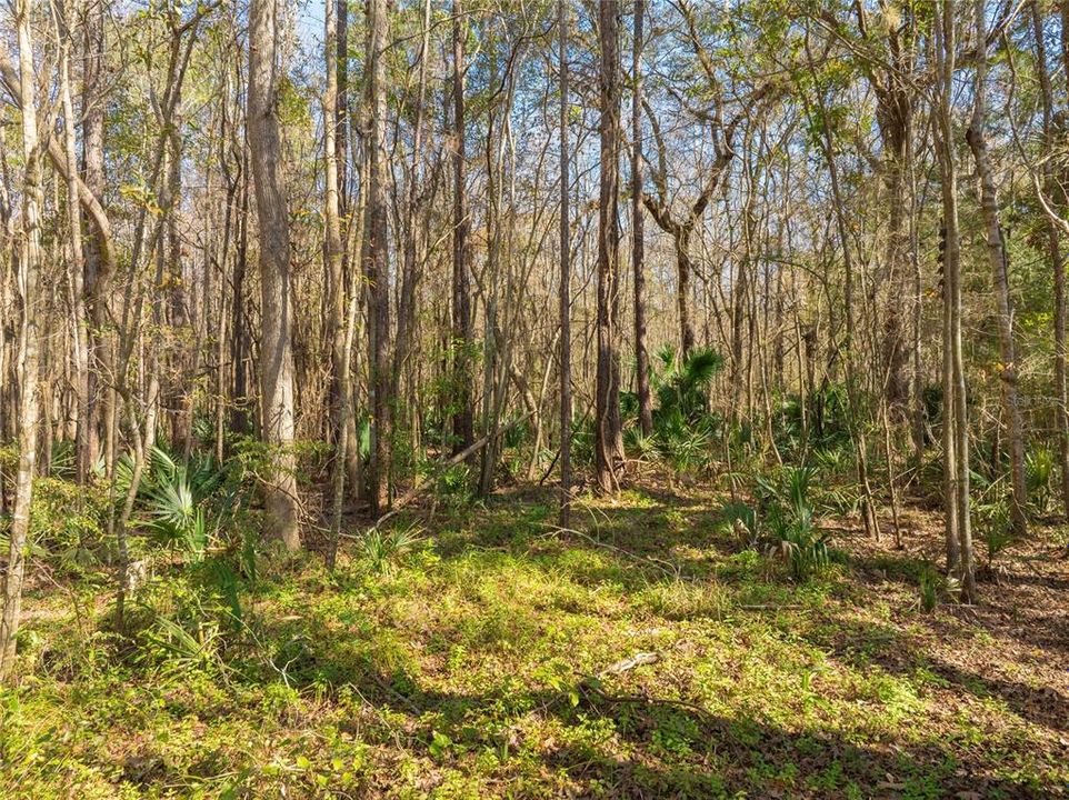 For Sale: $149,900 (27.82 acres)