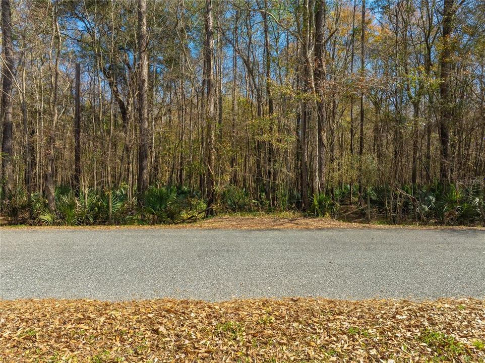 For Sale: $149,900 (27.82 acres)