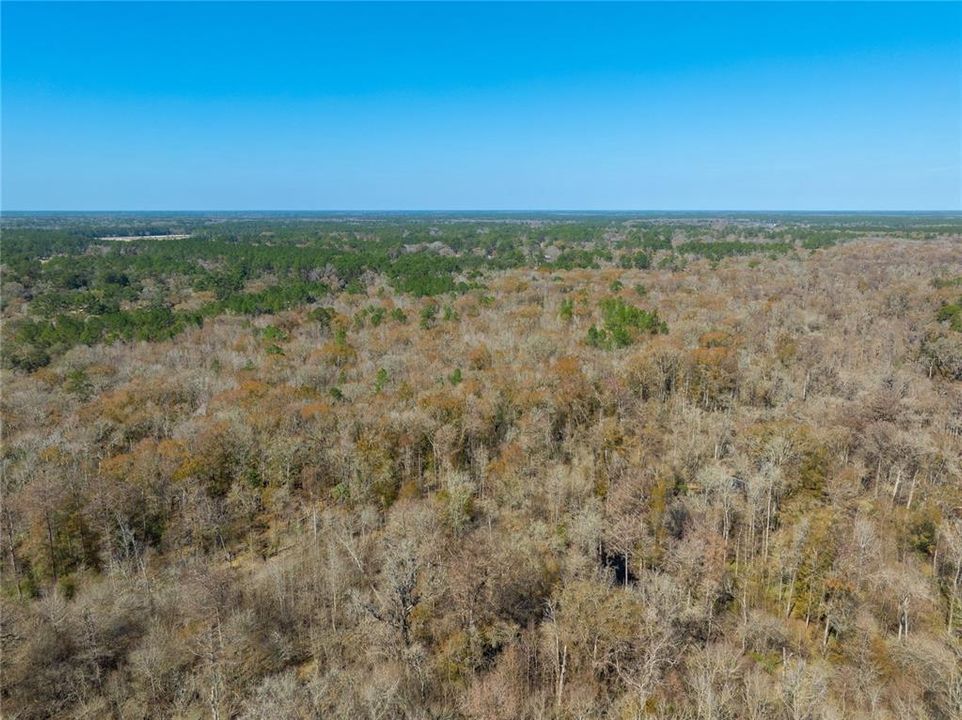 For Sale: $149,900 (27.82 acres)