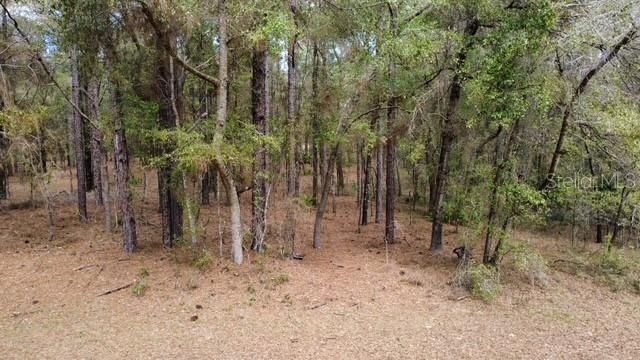 En Venta: $75,000 (1.25 acres)