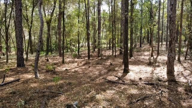 En Venta: $75,000 (1.25 acres)