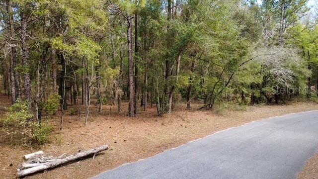 En Venta: $75,000 (1.25 acres)