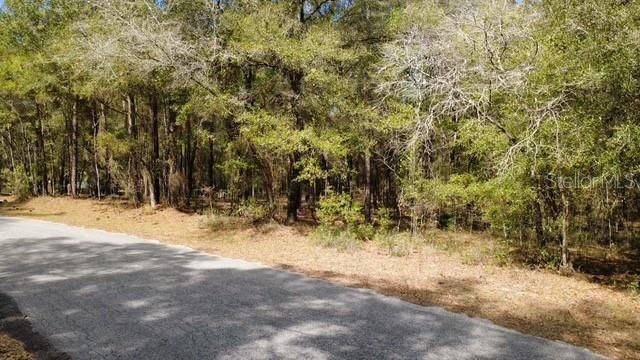 En Venta: $75,000 (1.25 acres)