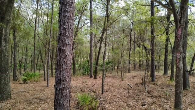 En Venta: $75,000 (1.25 acres)