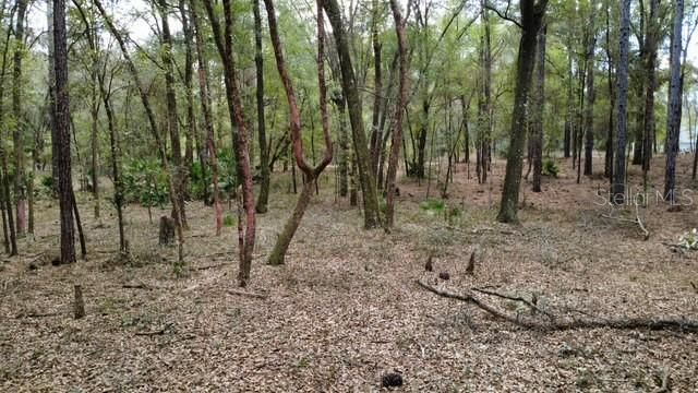 En Venta: $75,000 (1.25 acres)