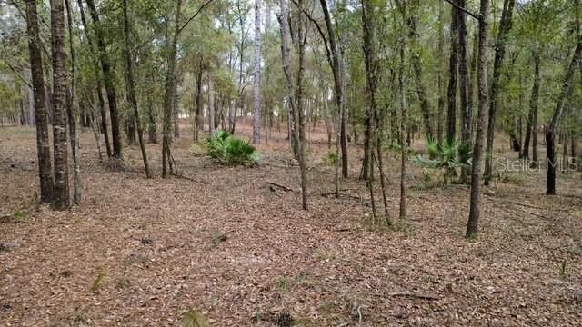 En Venta: $75,000 (1.25 acres)