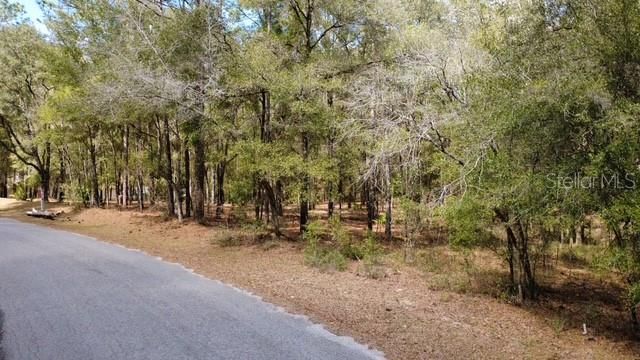 En Venta: $75,000 (1.25 acres)