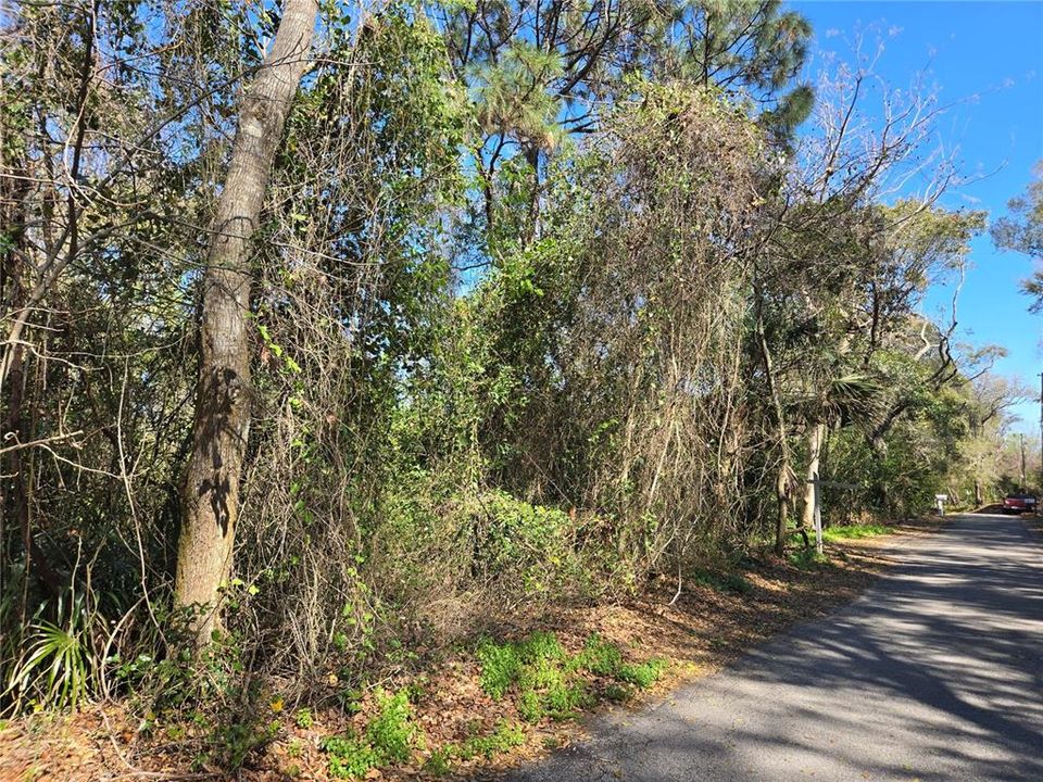 На продажу: $299,998 (4.94 acres)