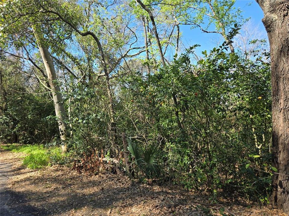 На продажу: $299,998 (4.94 acres)