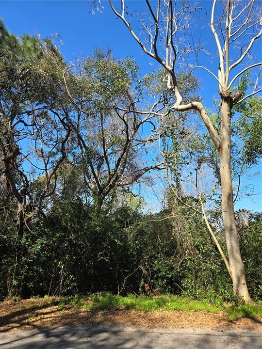 На продажу: $299,998 (4.94 acres)