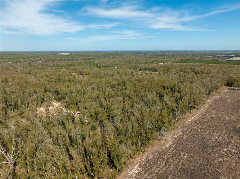 For Sale: $64,900 (5.00 acres)