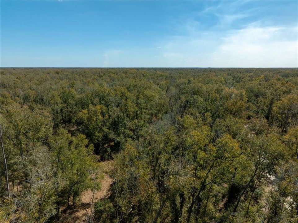 For Sale: $64,900 (5.00 acres)