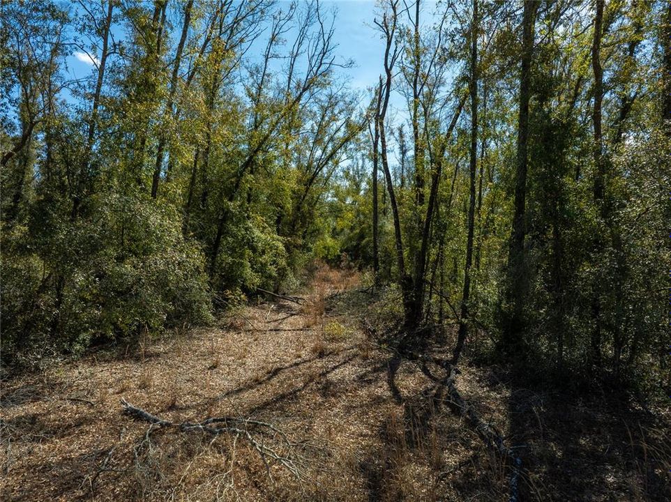 For Sale: $64,900 (5.00 acres)