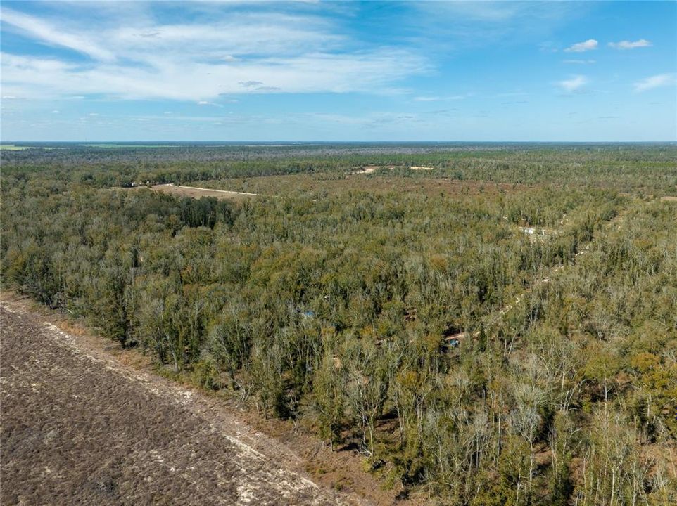 For Sale: $64,900 (5.00 acres)