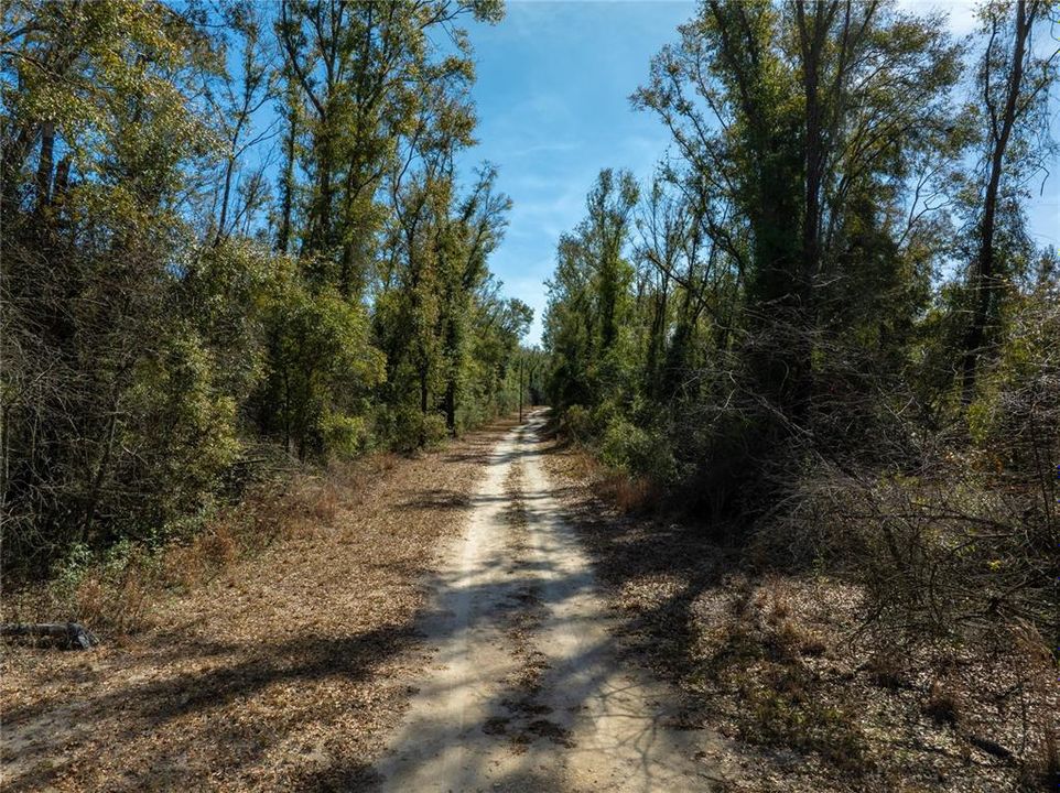 For Sale: $64,900 (5.00 acres)