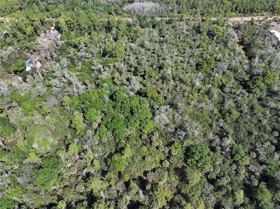 For Sale: $110,000 (2.73 acres)