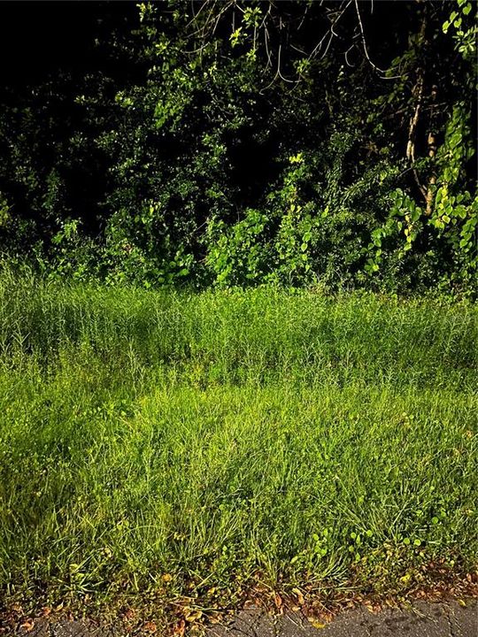 En Venta: $68,000 (0.18 acres)