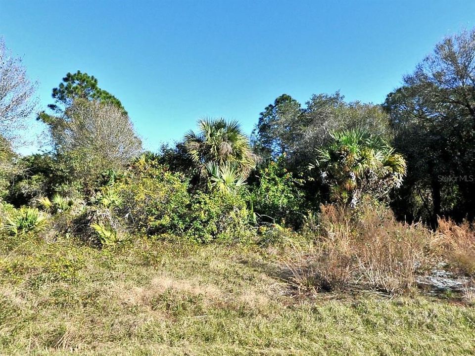 En Venta: $7,000 (0.23 acres)