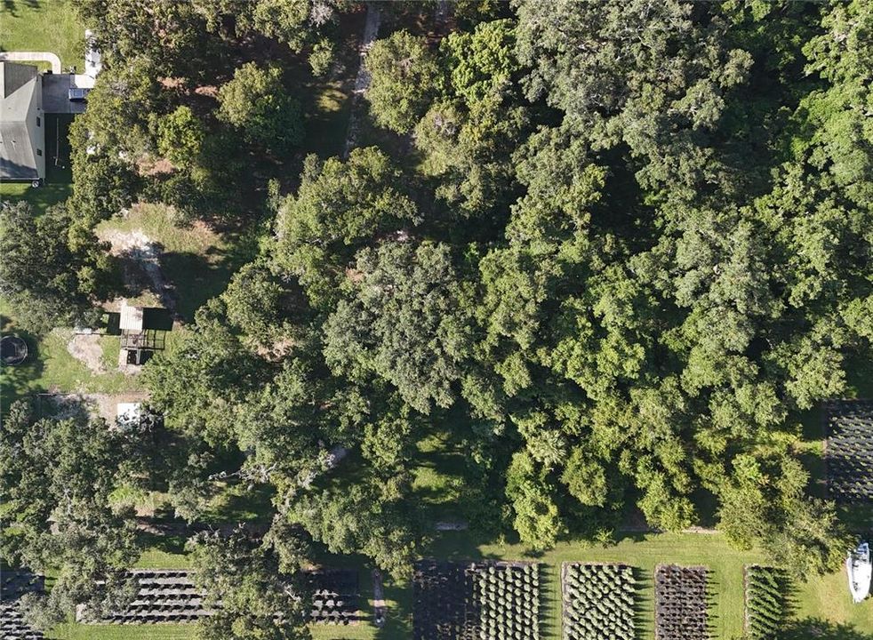 待售: $155,000 (1.03 acres)