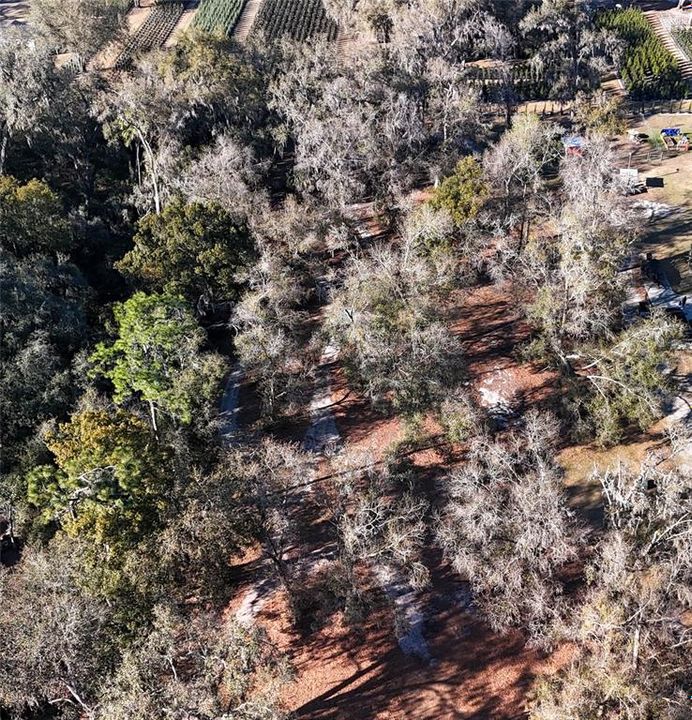 待售: $155,000 (1.03 acres)