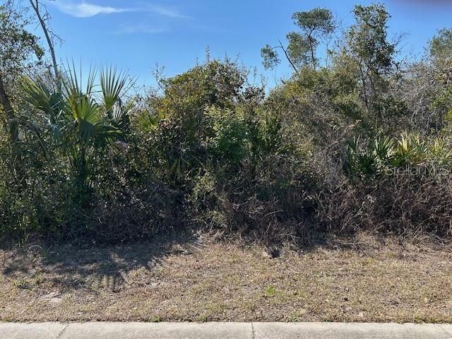En Venta: $165,000 (0.76 acres)
