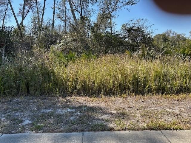 En Venta: $165,000 (0.76 acres)