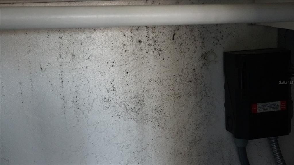 Activo con contrato: $125,000 (3 camas, 2 baños, 1398 Pies cuadrados)