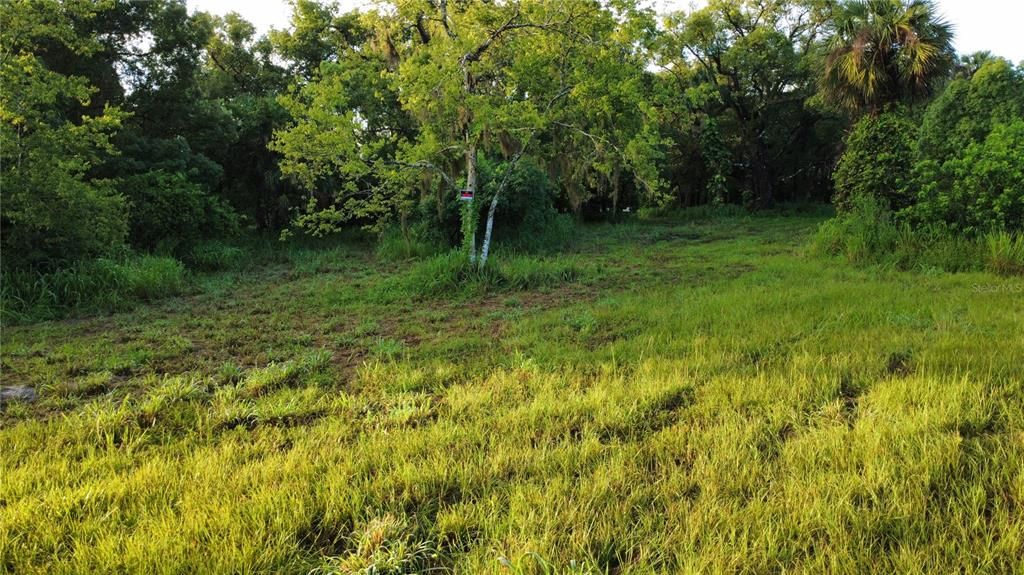 For Sale: $1,100,000 (13.00 acres)