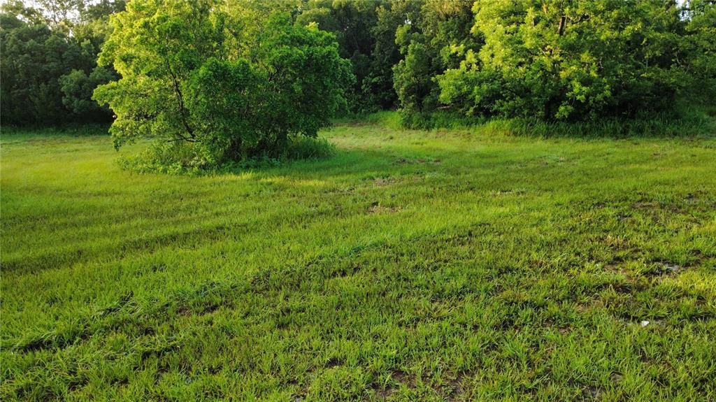 For Sale: $1,100,000 (13.00 acres)