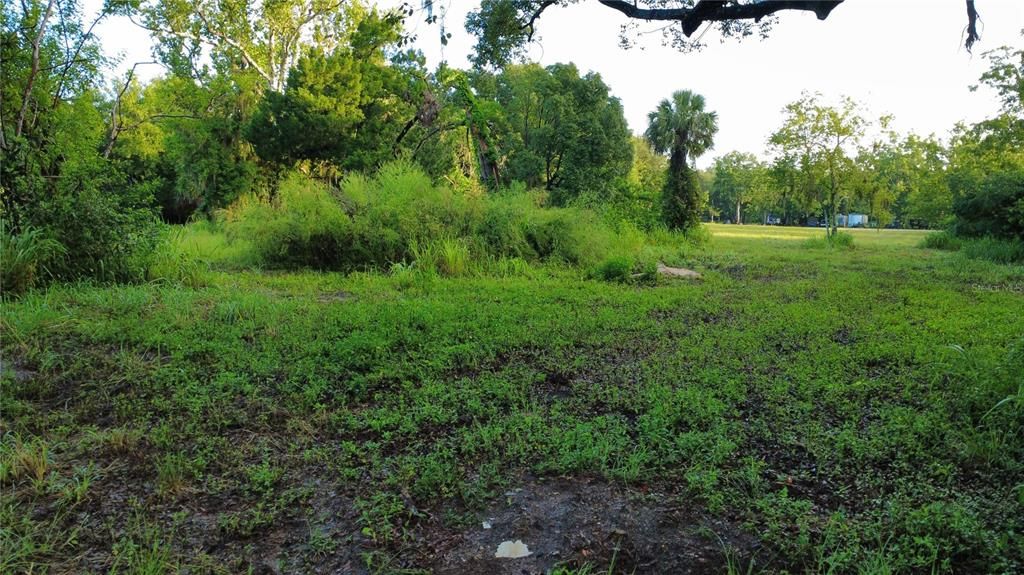 For Sale: $1,100,000 (13.00 acres)