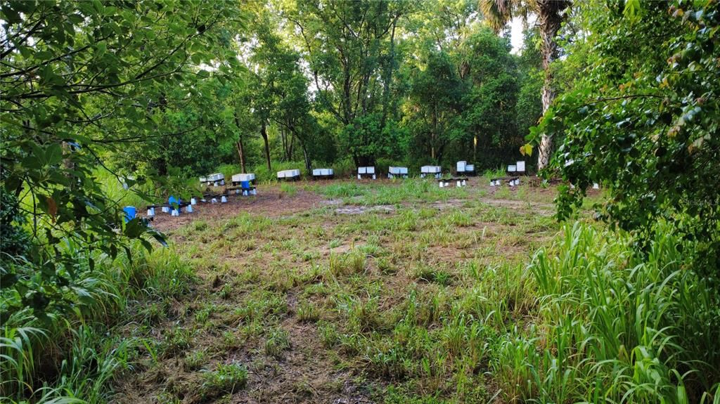 For Sale: $1,100,000 (13.00 acres)