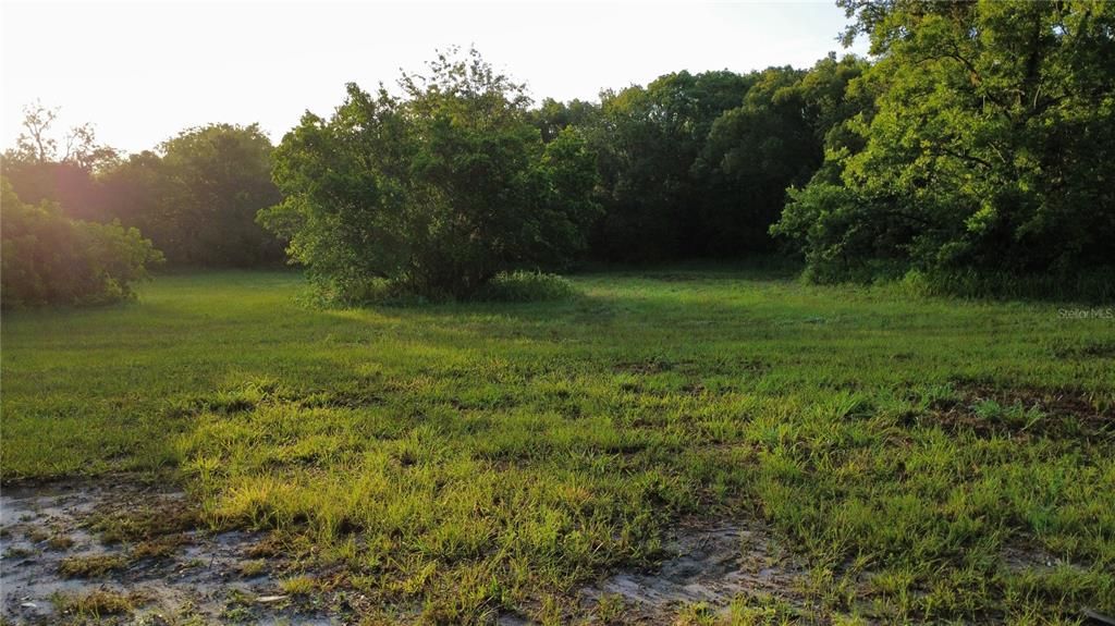 For Sale: $1,100,000 (13.00 acres)