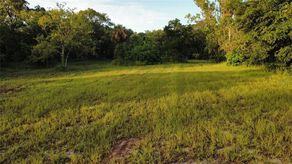 For Sale: $1,100,000 (13.00 acres)