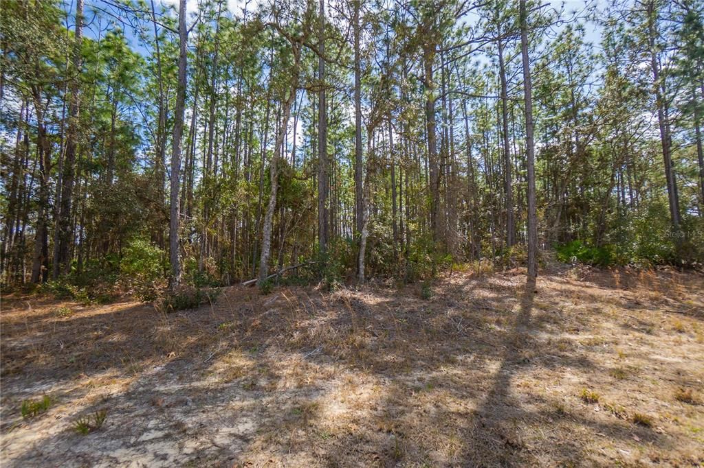Active With Contract: $50,000 (1.07 acres)