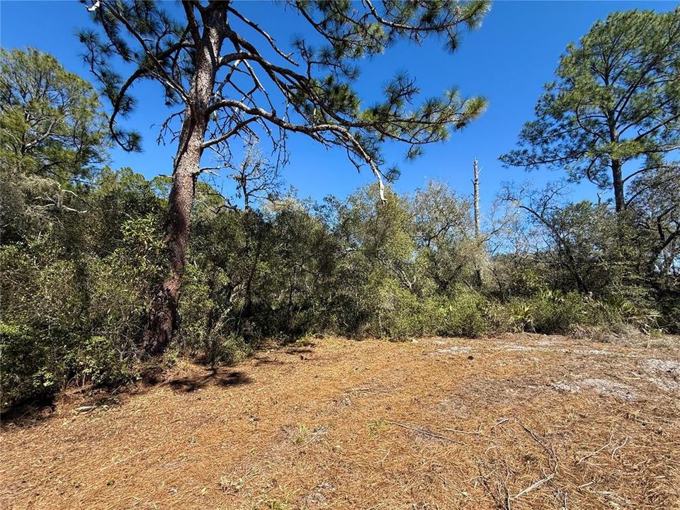 На продажу: $115,000 (1.00 acres)